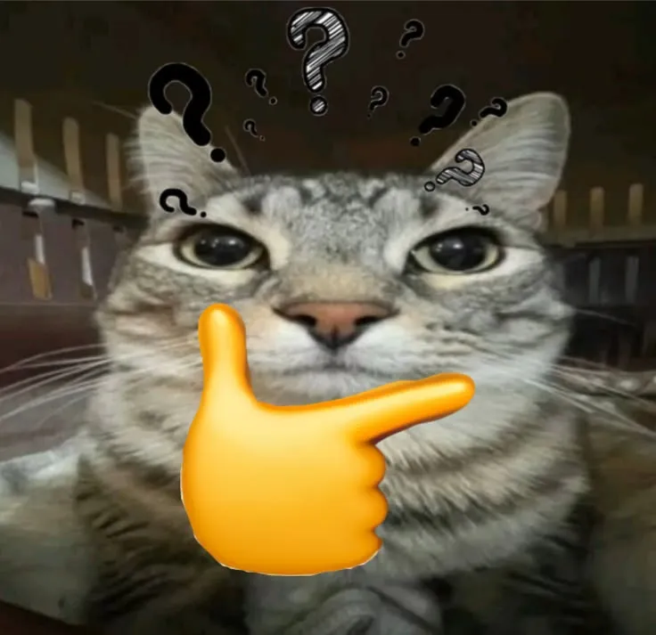 Gato pensativo apoyando la pata en la barbilla